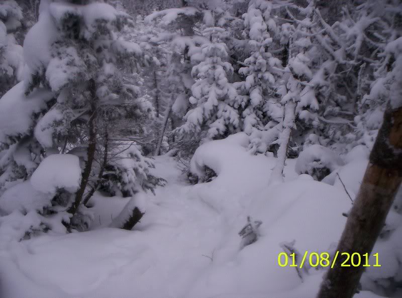 THE SEWARDS 1-8-11 WINTER 005