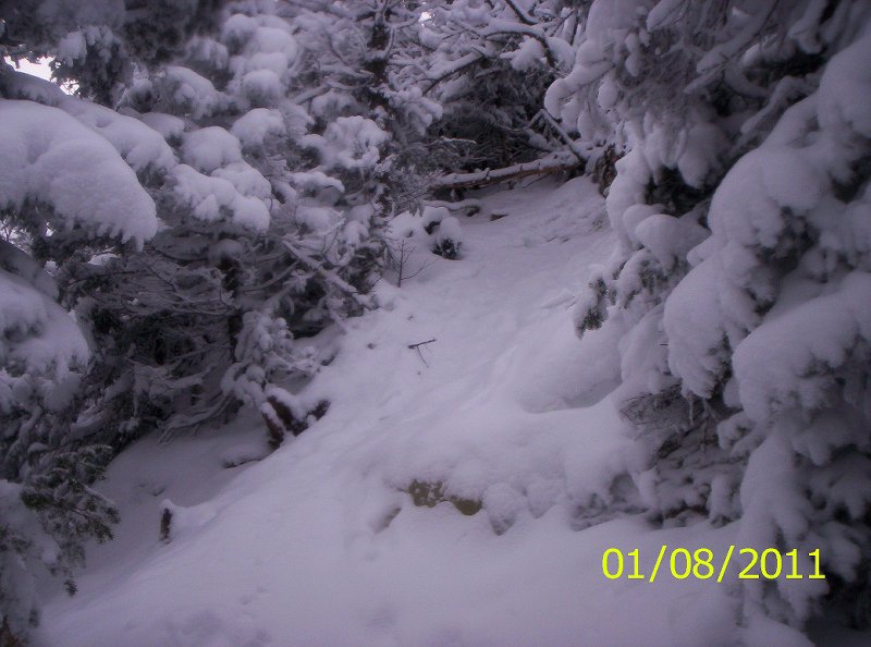 THE SEWARDS 1-8-11 WINTER 006