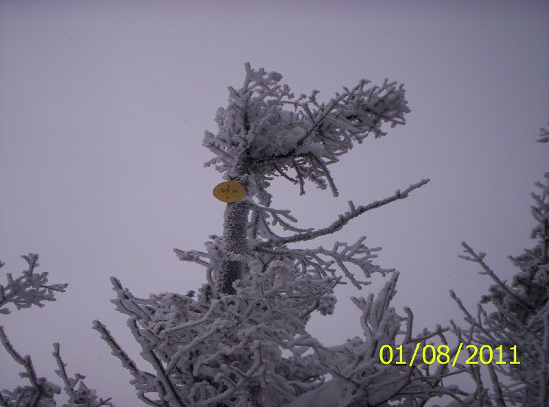 THE SEWARDS 1-8-11 WINTER 007