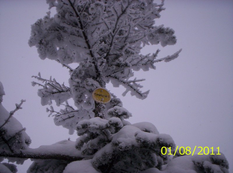 THE SEWARDS 1-8-11 WINTER 008