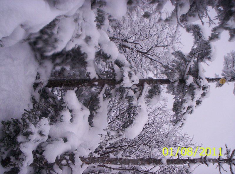 THE SEWARDS 1-8-11 WINTER 010