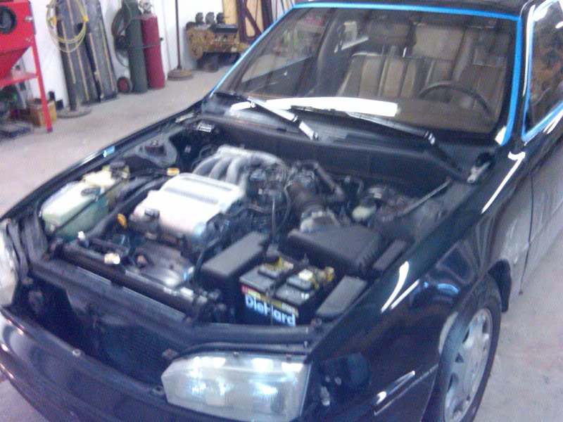 IMG00490-201101 10-1233