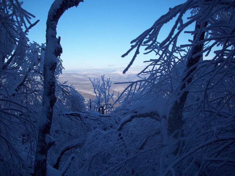 Eagle-Balsam, Jan. 22, 2011 008