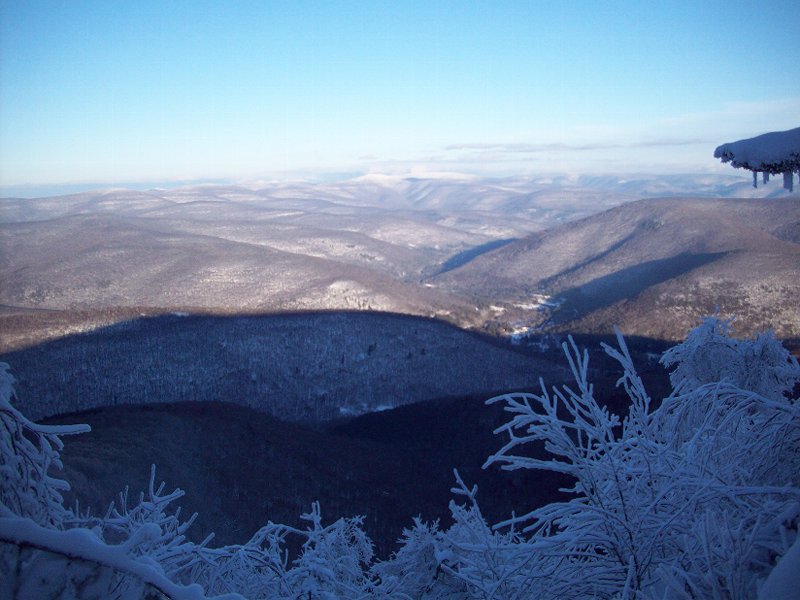 Eagle-Balsam, Jan. 22, 2011 010