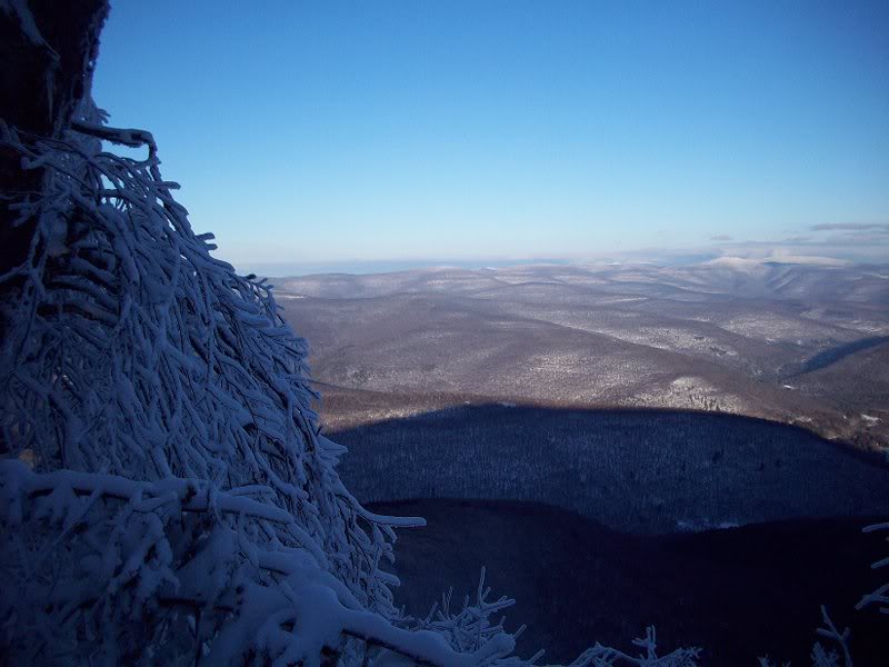 Eagle-Balsam, Jan. 22, 2011 011