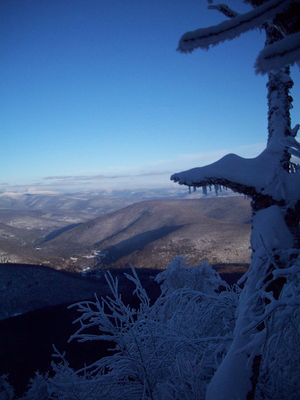 Eagle-Balsam, Jan. 22, 2011 013