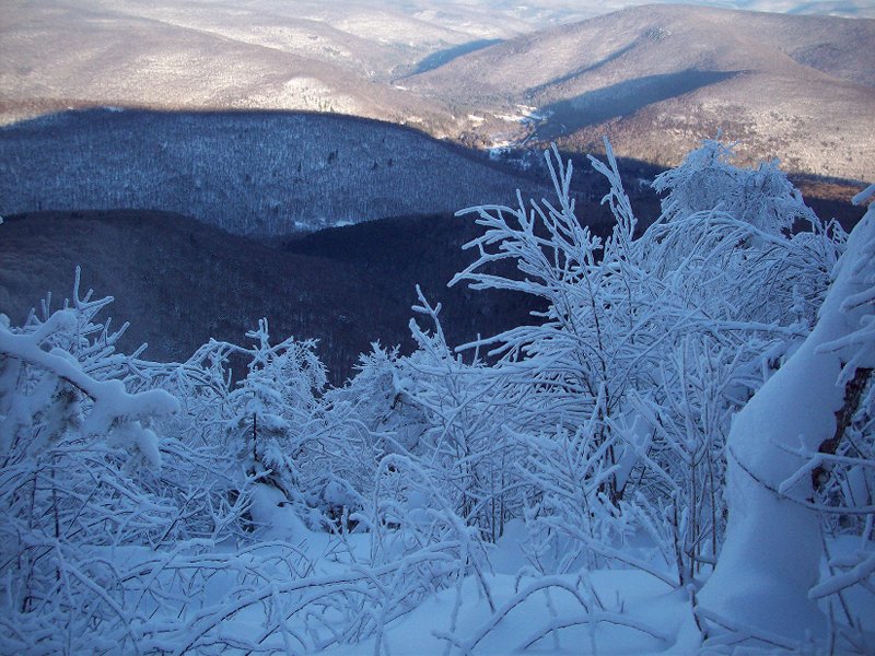 Eagle-Balsam, Jan. 22, 2011 014