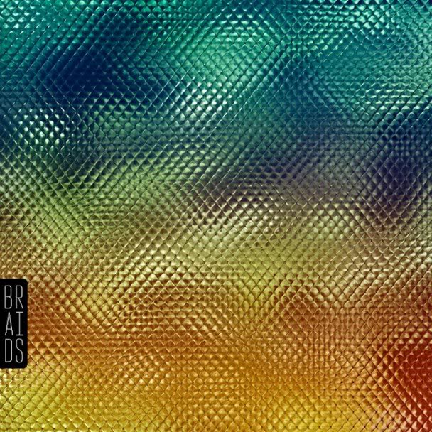 braids-nativesp eaker-608x608