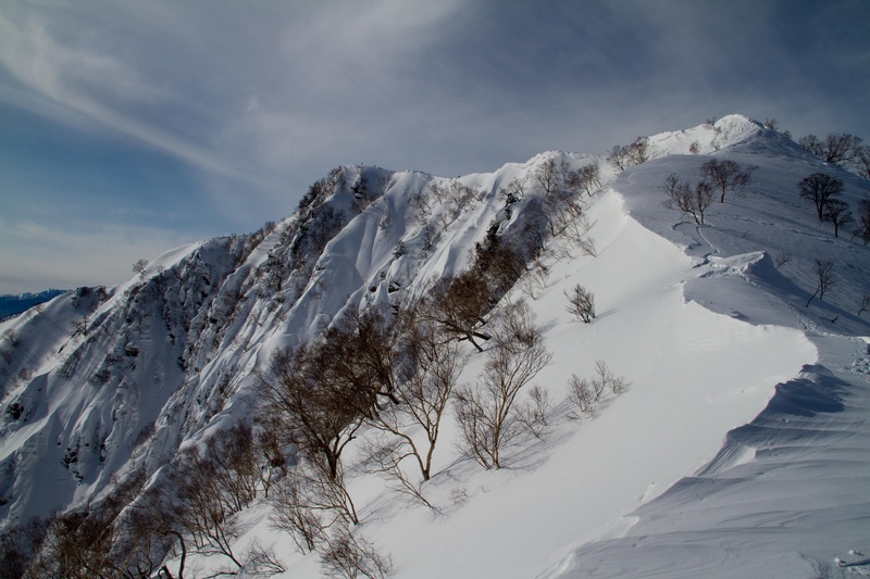 Hakuba_PatrickF ux (1)