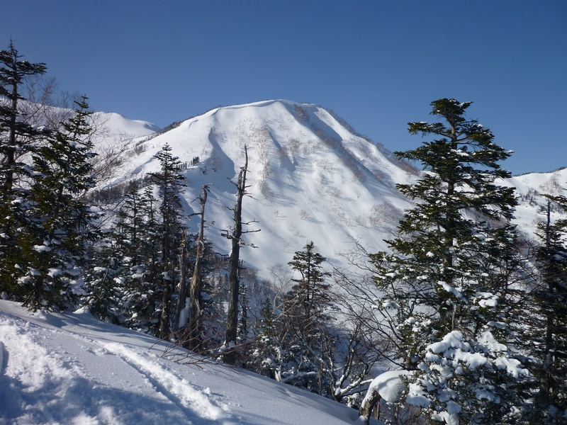 Hakuba_PatrickF ux (6)