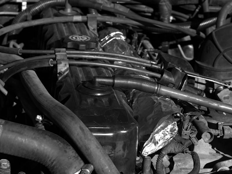 IClittlesahara0 211_05