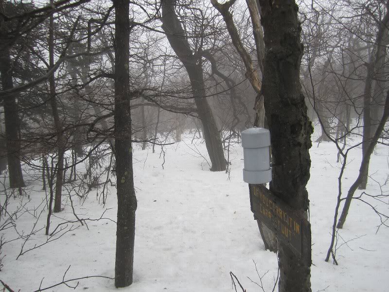 bearing back to the trail