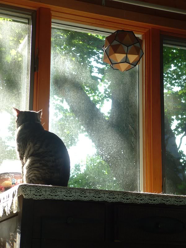 Dual of Icosahedron and Dodecahedron