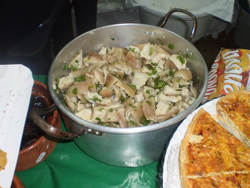 Soito da Ruiva - Coiratos