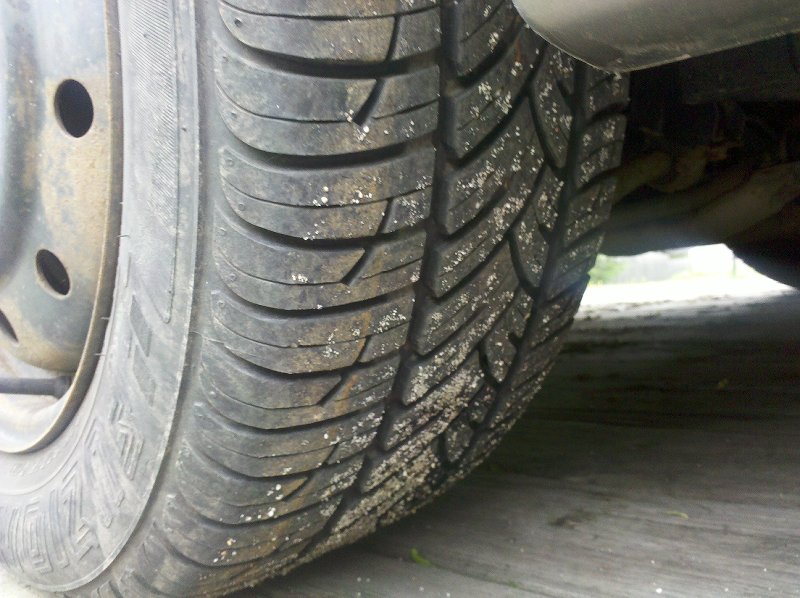 IMG_20110522_13 0828