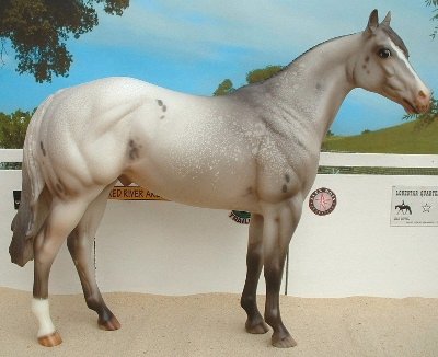 Latin Lover -- NSC -- 003