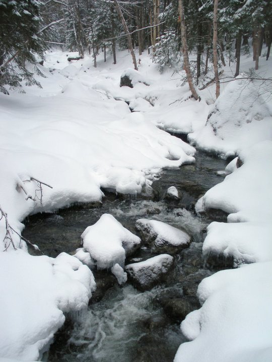 196060_20622089 9389872_1000000 58910478_843577 _2518004_n