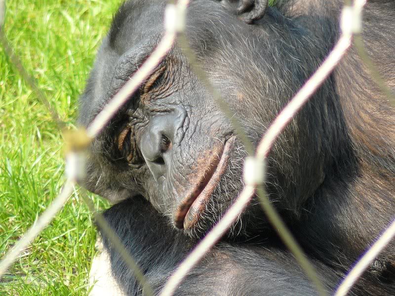 and taking a good nap