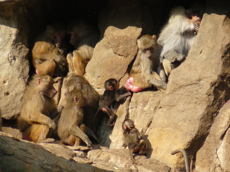 catching the morning sun rays