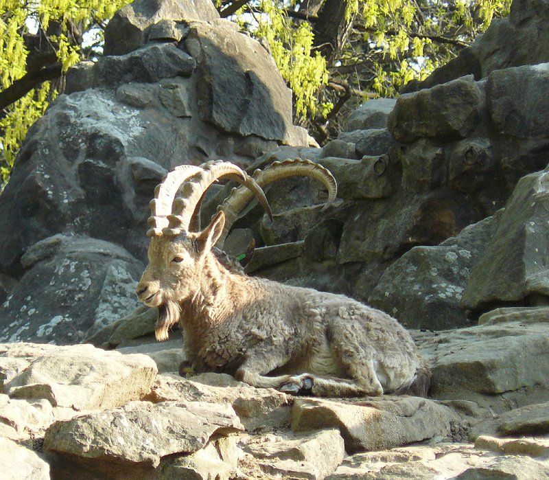 high up his "mountain"