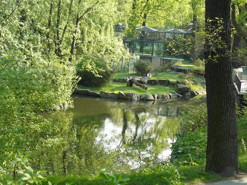 just a peaceful and relaxing view