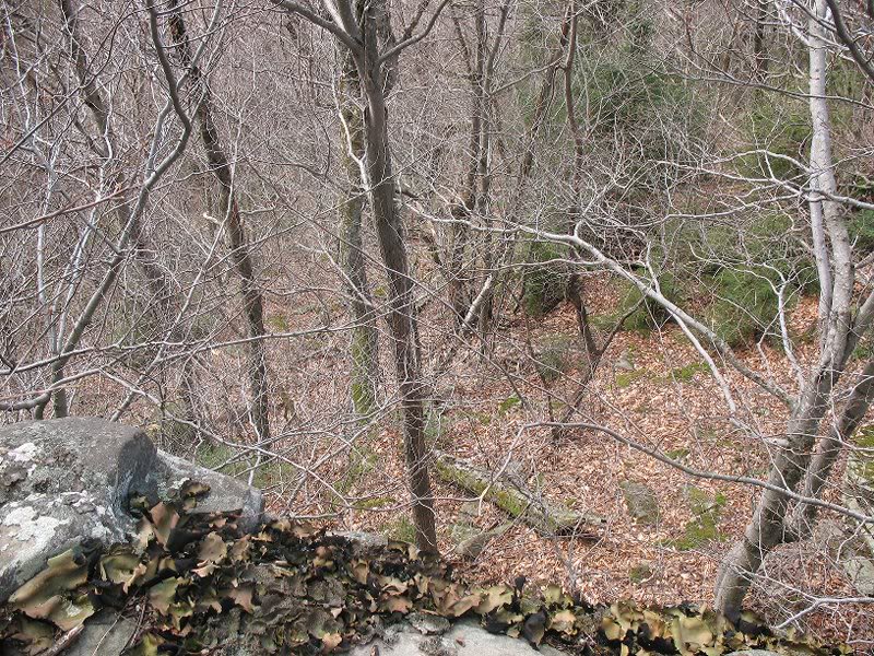 PLATEAU,SUGERLO AF,TWIN,INDIANH EAD 004