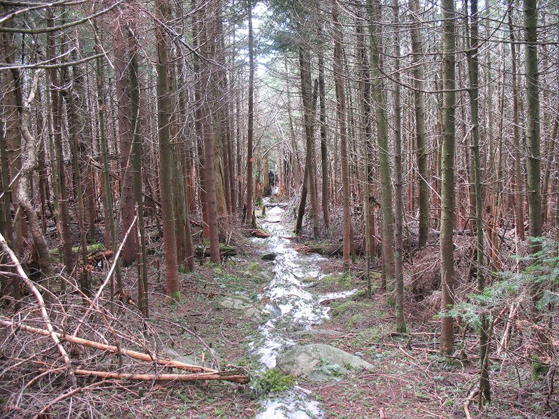 PLATEAU,SUGERLO AF,TWIN,INDIANH EAD 010