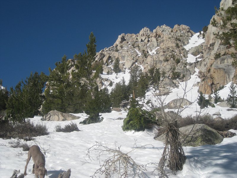 Main trail 5-7-2011 011