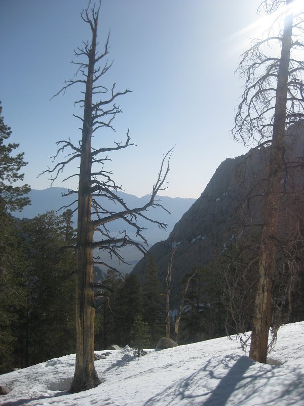 Main trail 5-7-2011 012