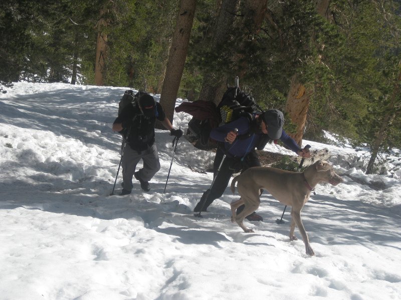 Main trail 5-7-2011 013