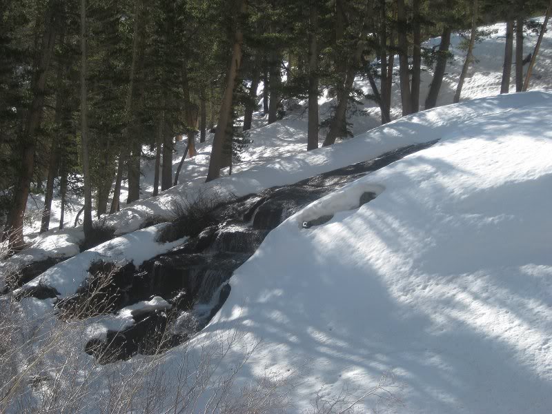 Main trail 5-7-2011 015