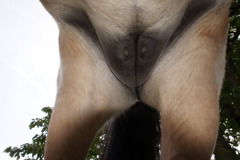 lucky Star 308 dagen 020