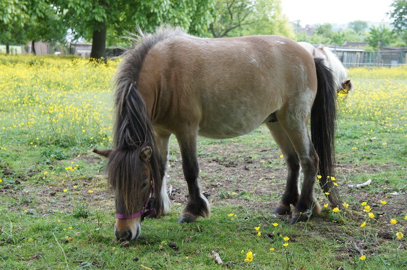 lucky Star 308 dagen 023