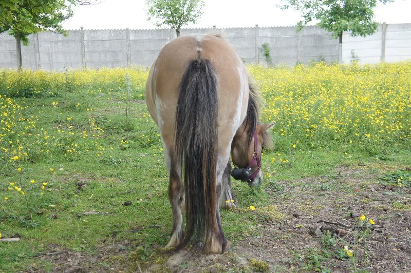 lucky Star 308 dagen 024