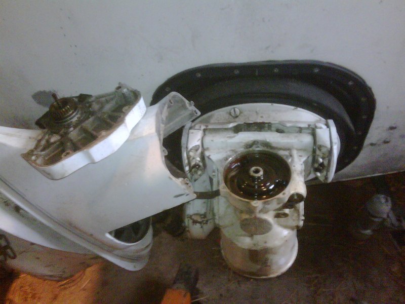 IMG00381-201105 16-1713