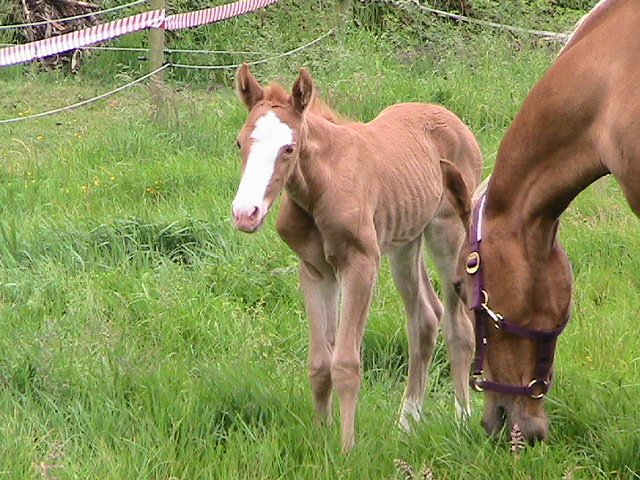 24 hrs old first time out