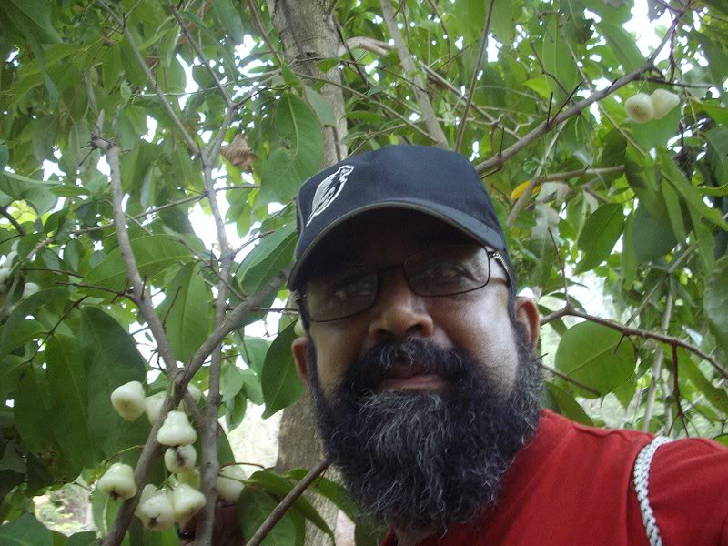 At Nisarg farmhotel.