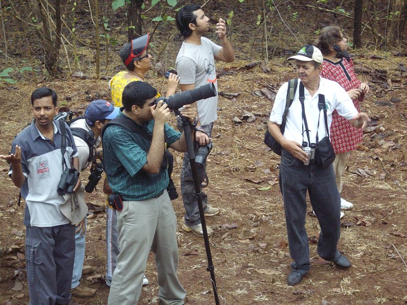 Forest trekking and bird watching