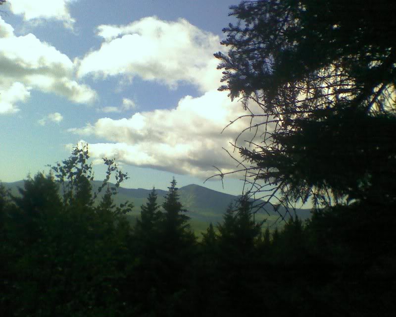 010 View of the Loaf Along Horns Pond Trail