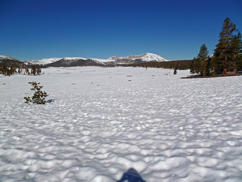 Siberian Basin, looking towards Boreal