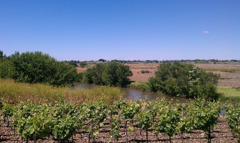 Desert Wind Winery Grounds