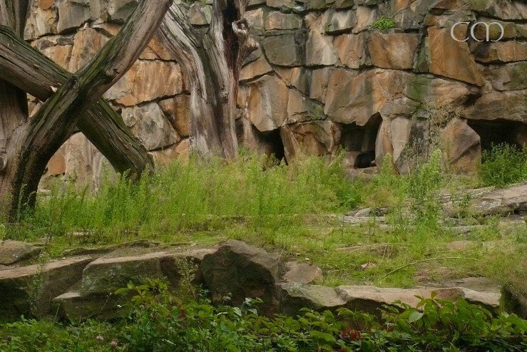 At the high age of 27, her partner Bumiphol died yester...