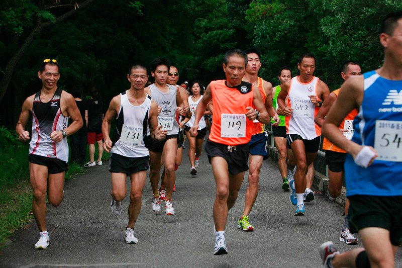 2011����������� ����003