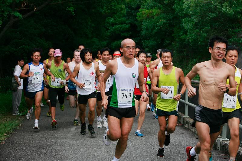 2011����������� ����004