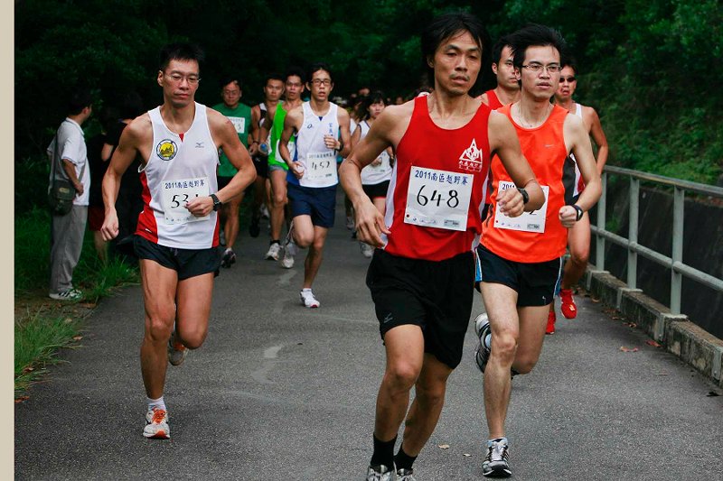 2011����������� ����006