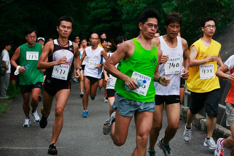 2011����������� ����008