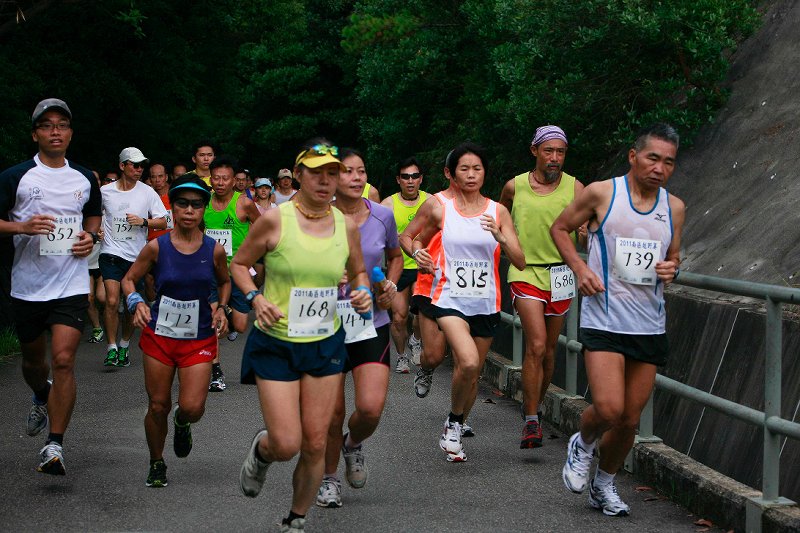 2011����������� ����009