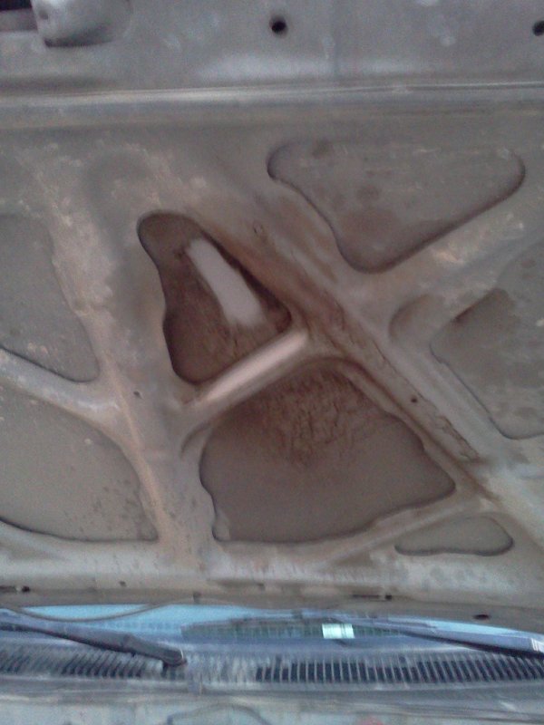 IMG_20110821_19 3407