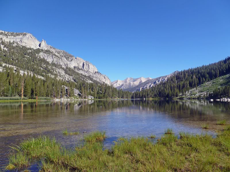 Harrison.pass.8 .20.11-09