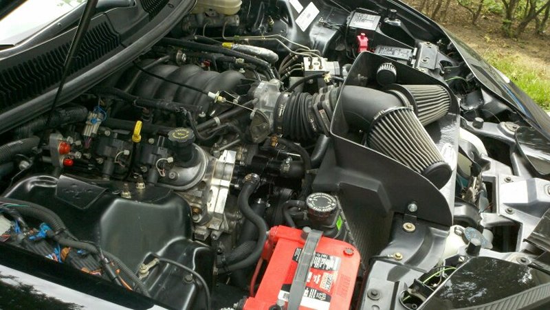 287134_88410823 8142_30110052_3 9866556_5632030 _o